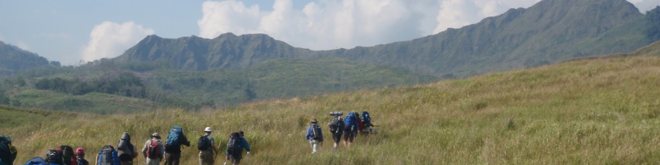 Walk the Shaggy Ridge Track